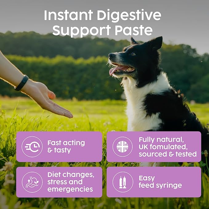 Veterinary Probiotics Paste for Dogs, Tasty Peanut Flavour for Fussy Eaters, Advanced Prebiotic Formula for Digestive Support - Aids Digestion, Diarrhea Treatment, Anti Sickness (60ml)