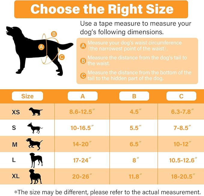 Washable Female Dog Diapers 3 Pack Premium Reusable Diapers for Dog in Heat - Highly Absorbent for Untrained Puppies, Dogs in Heat, Doggie Menstrual and Incontinence M - C