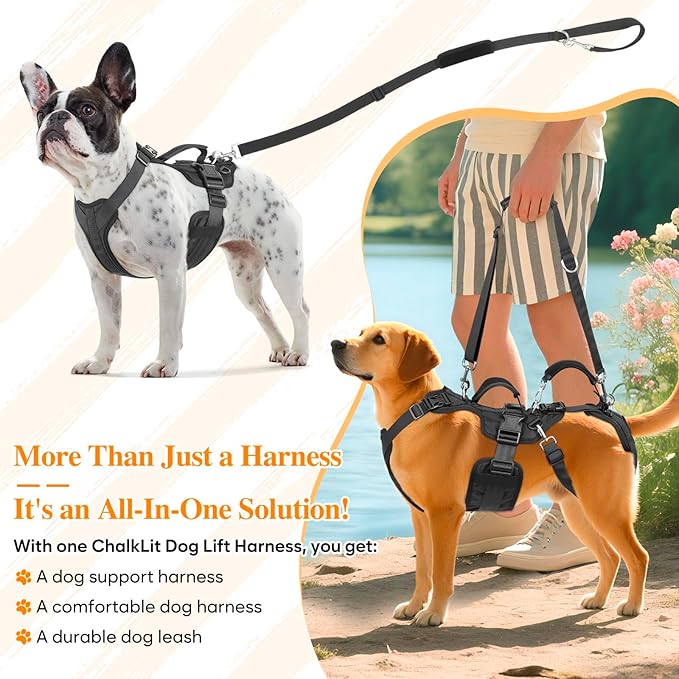 Dog Lift Harness, Dog Support & Recovery Sling for Full-Body & Hind/Front Leg – Pee-Able Design for Large/Medium Dogs – All-in-One Ideal Assistance for Senior, Disabled, Arthritic & ACL Canines (L)