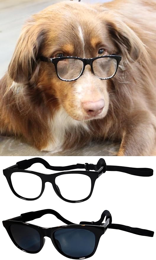G006 Dog Pet 80s Costume Sunglasses Prop Photoshoot Medium Breeds 20-40 lbs (2-Pack Black+ Black-Clear Lens)