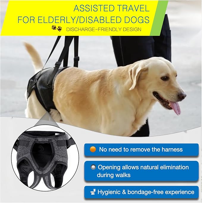 Dog Lift Harness for Back Legs–Sturdy Dog Support Sling–Hip Sling Carrier for Large Medium Canine, Stair Helper for Aid Old Ligament Rehabilitation Pet, Grey,S