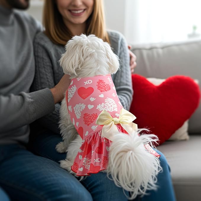 Vehomy 2-Pack Valentine's Day Dog Cat Dress Love Heart Dog Dresses Puppy Valentines Day Skirt Dog Pet Valentines Day Costume Outfit Apparel Clothes for Small Medium Dogs Cats L