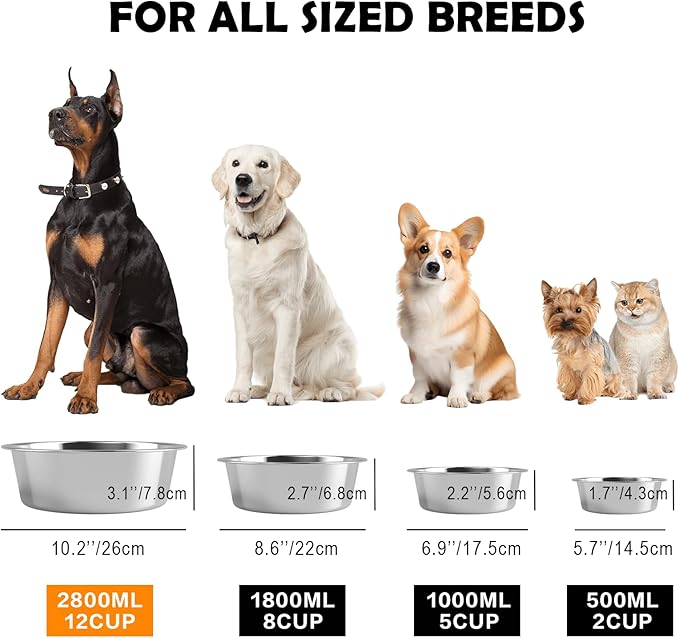 Stainless Steel Dog Bowls with Mat - Nonslip EVA Rubber Bottom Ring - Food & Water Bowl for Dogs, Cats - Dishwasher Safe