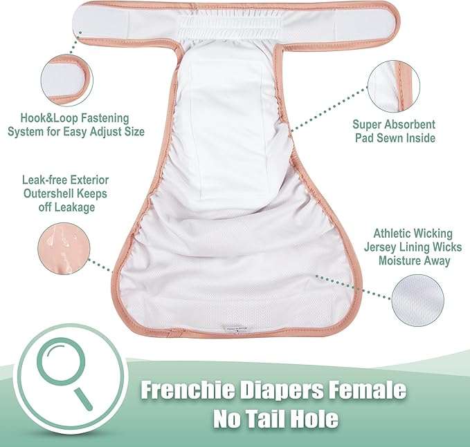 wegreeco XX-Large Dog Diapers Female No Tail Hole, Reusable French Bulldog Diapers Female