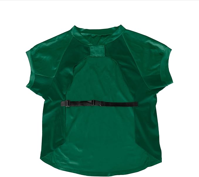 Littlearth NFL Green Bay Packers Stretch Pet Jersey, Team Color, Big Dog