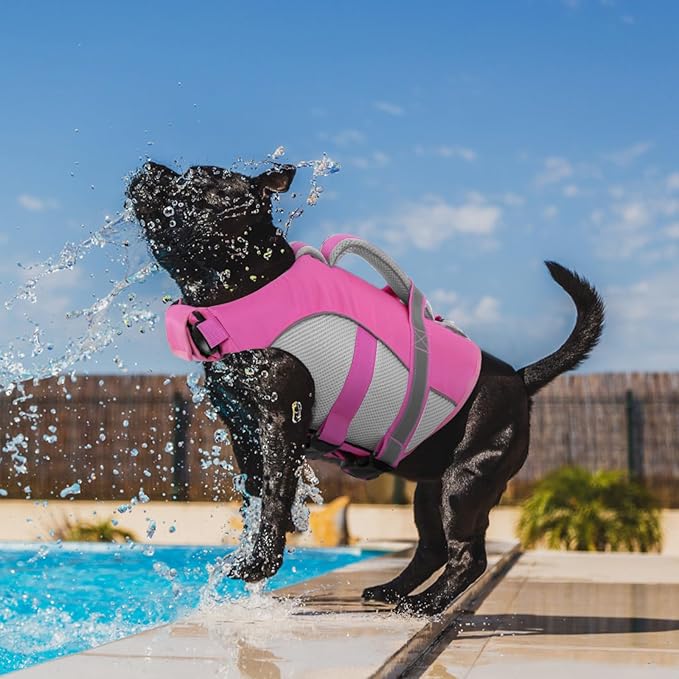 Queenmore Dog Life Vest for Swimming, Adjustable High Visibility Dog Life Jacket with Superior Buoyancy and Rescue Handle, Pink, XL