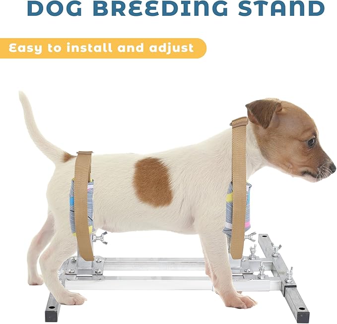 Dog Breeding Stand（Multi-Specification） Stainless Steel Dog Breeding Stand，Shoulder height 5.9in-13.8in，Adjustable Dog Breeding Stand for Miniature Dog,Dog Breeding Rack