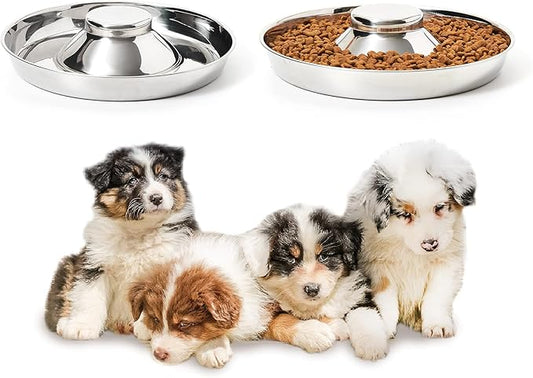Stainless Steel Puppy Bowls, Set of 2 Puppy Feeder, Dog Food and Water Bowl, Food Feeding Weaning for Small Medium Large Dogs, Pets, M