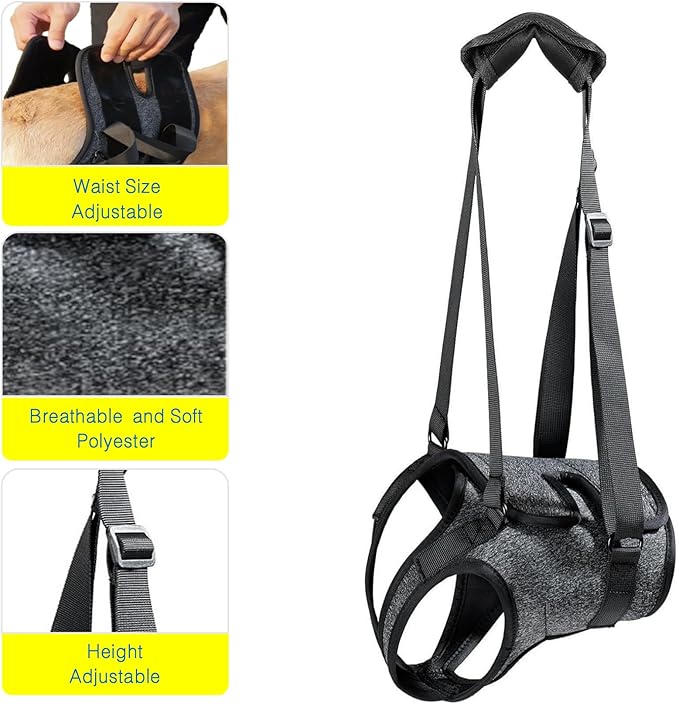 Dog Lift Harness for Back Legs–Sturdy Dog Support Sling–Hip Sling Carrier for Large Medium Canine, Stair Helper for Aid Old Ligament Rehabilitation Pet, Grey-XL