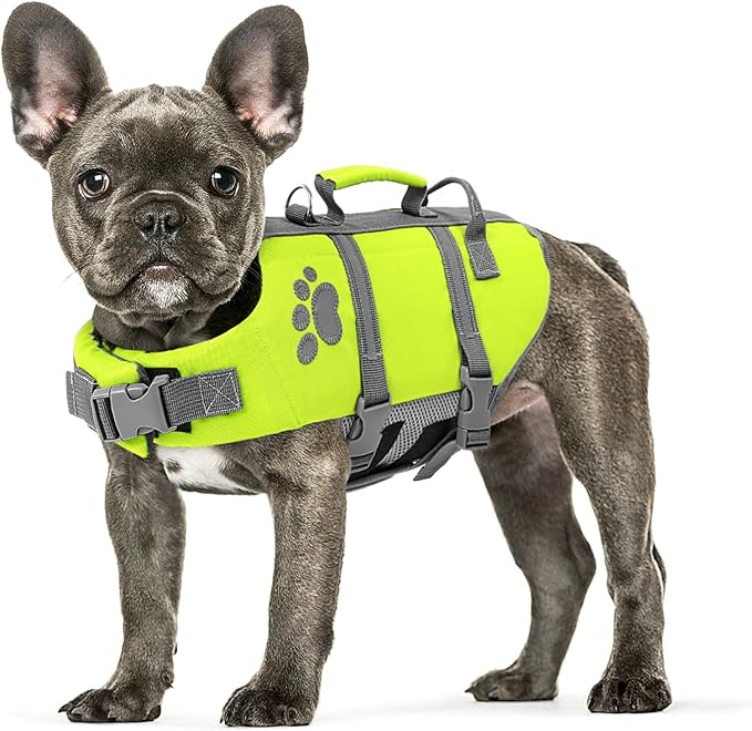 Queenmore Small Dog Life Jacket, Ripston Dog Life Vest, Small Doggie Life Vest for Swimming, Safety Puppy Swimming Vest with Handle, Puppy Preserver for Boating, Pet Lifesaver for Water Pool