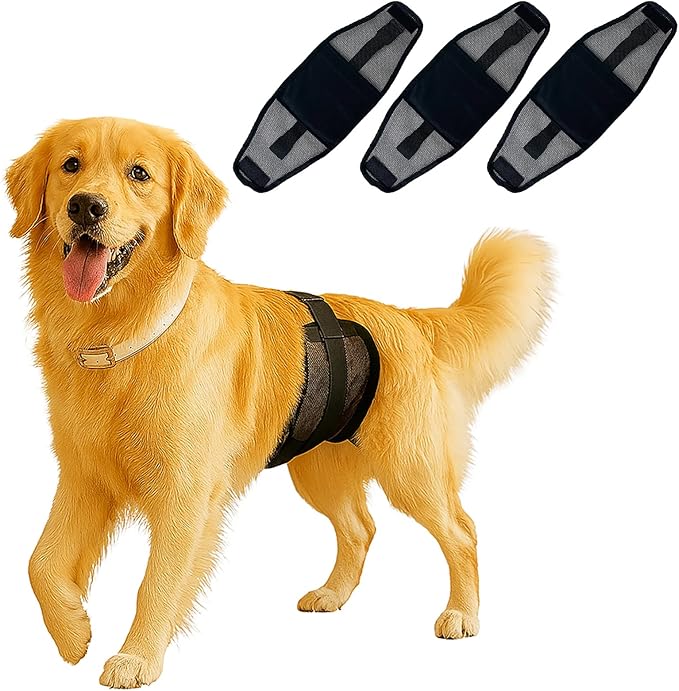 3-pack Dog Diapers Male–Reusable & Washable Belly Bands for Dogs, Breathable Air-Mesh Fabric,for Doggie & Puppy in Incontinence or Excitable Urination and Training（XS） (black, XS, Count, 3)