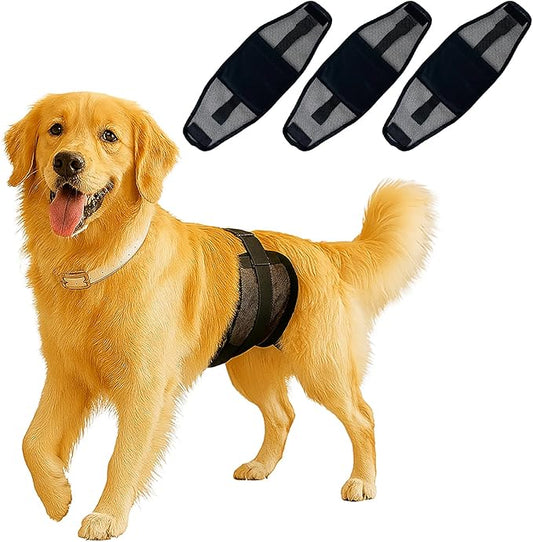3-pack Dog Diapers Male–Reusable & Washable Belly Bands for Dogs, Breathable Air-Mesh Fabric,for Doggie & Puppy in Incontinence or Excitable Urination and Training（XS） (black, XS, Count, 3)