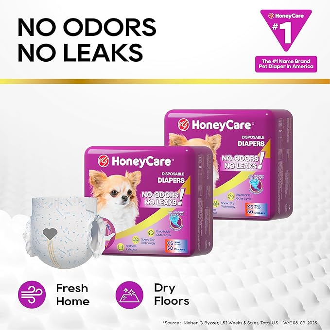 HONEY CARE All-Absorb Disposable Female Dog Diapers Extra Small Size, Improved, 50 Count, Super Absorbent, Breathable, Wetness Indicator (Pack of 1, 50 Count Total)