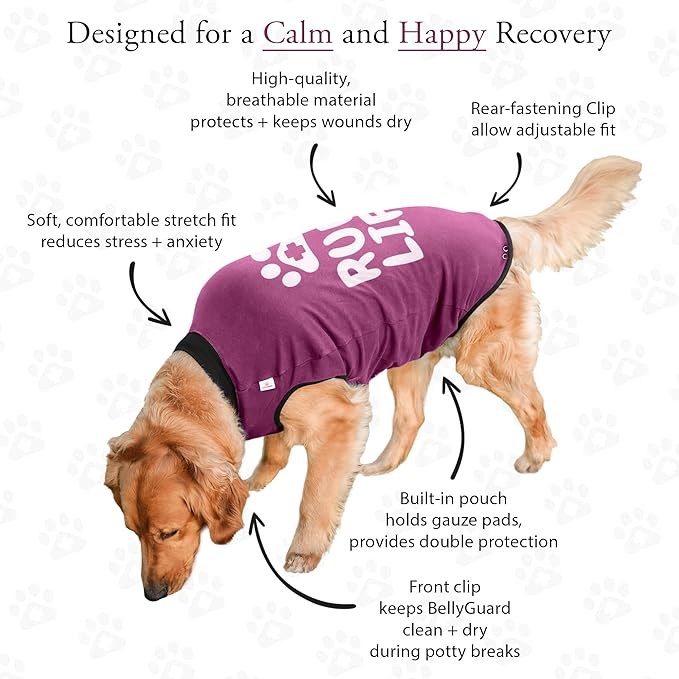 BellyGuard Dog Surgery Recovery Suit, Dog Onesie for Post-Op Care, Recovery Apparel for Female and Male, Surgical Body Cover for Canine Healing Support