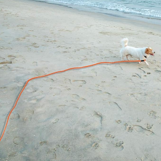 Vivifying Long Dog Leash, 32ft Reflective Dog Training Leash for Outside and Yard, Floating Long Line Lead with Soft Handle for Camping, Hiking, Swimming, Beach and Lake (Orange)