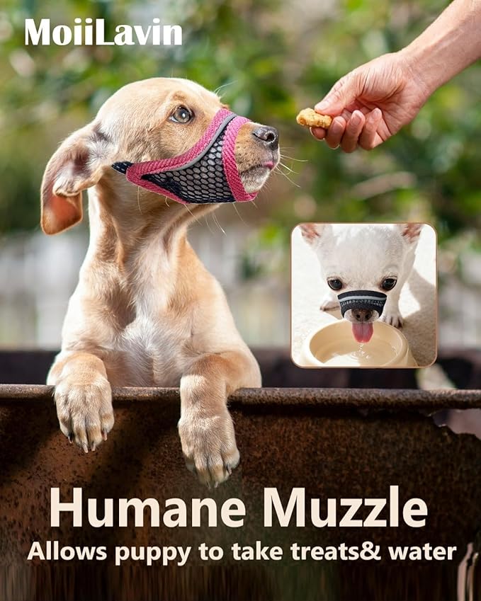 Dog Muzzle for Small Medium Dogs to Prevents Biting for Brachycephalic Dogs,Chihuahua Pom Shih Tuz,Short Snout Friendly,Soft Breathable Lightweight Mesh,Open Front,for Grooming Vet Visits (Black, XS)