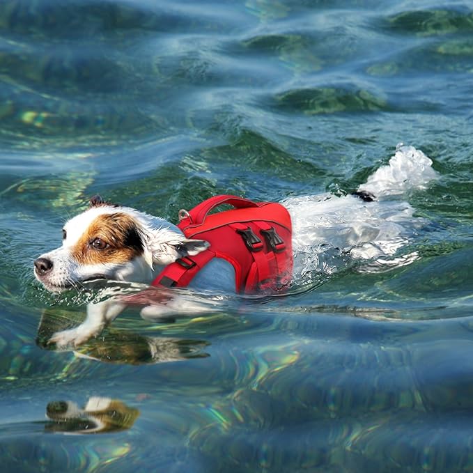 Queenmore Small Dog Life Jacket,Pet Life Vest for Swimming,Adjustable Reflective Pet Swimming Vest,High Buoyancy Dog Life Jacket,Pet Life Preserver(Red,S)