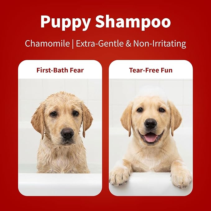 Arf Arf Tearless Puppy & Kitten Shampoo with Chamomile & Honey - Hypoallergenic Sensitive Skin Wash for Frenchies & Goldens - Gentle German Formula for First Bath - Fresh Scent, 16oz