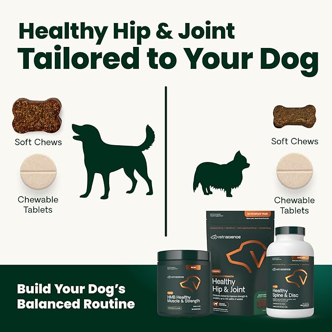 VetriScience Ultimate Strength Hip & Joint Supplement for Dogs, GlycoFlex Plus – MSM, Chondroitin & Green-Lipped Mussel Chews for Mobility, Flexibility, Comfort & Support, Peanut Butter Flavor 120 Cnt
