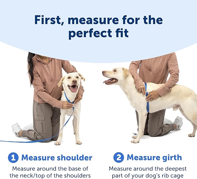 PetSafe Easy Walk Comfort No-Pull Dog Harness - Better Walk Training Harness - Full Body Padded Design - Durable Fabric - 5 Point Adjustable Fit - Everyday Leash Training - Blue - X-Small