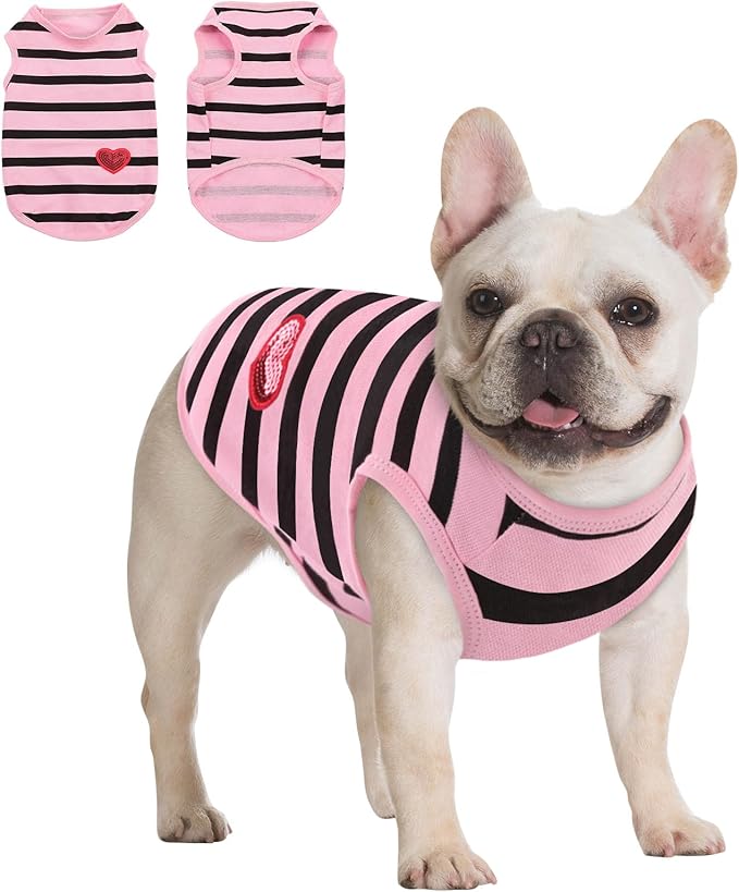 Queenmore Small Dog Shirt,Soft Breathable Dog Shirt for Dogs Cats Boy Girl,Pet Clothes for All Season,Breathable Lightweight Pet Tshirt for Frenchie, Dachshund, Yorkie