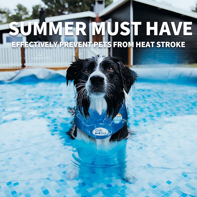 ALL FOR PAWS Dog Cooling Bandana, Cooling Bandanas for Extra Large Dogs, Ice Dog Bandanas, Cooling Neck Wraps for Dogs, Chill Out Blue Neck Cooler (XL)