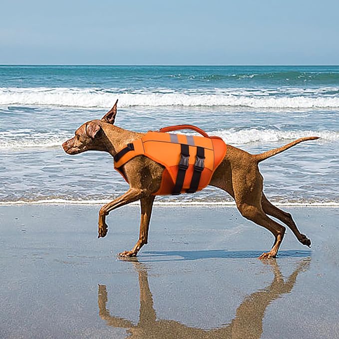 Kuoser XXL Dog Life Jacket, High Flotation Large Dogs Life Vest for Swimming Boating, Reflective Puppy Water Vest Pet Life Preserver with Rescue Handle, Orange XXL