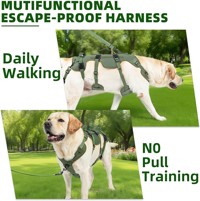PUPTECK Dog Lift Harness for Medium Large Sized Dog, Rehabilitation Sling for Hind Leg Support, Multifunctional Mobility Assistance Harness for Old, Disabled, Joint Injuries, Paralysis Dog, Green XL