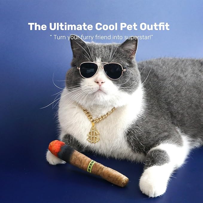Fashion Cat Sunglasses and Gold Chain Toys Set, Cuban Link Necklace with Dollar Sign Charm, Puppy Costume Outfits Accessories for Small Middle Fat Cats (Cat)