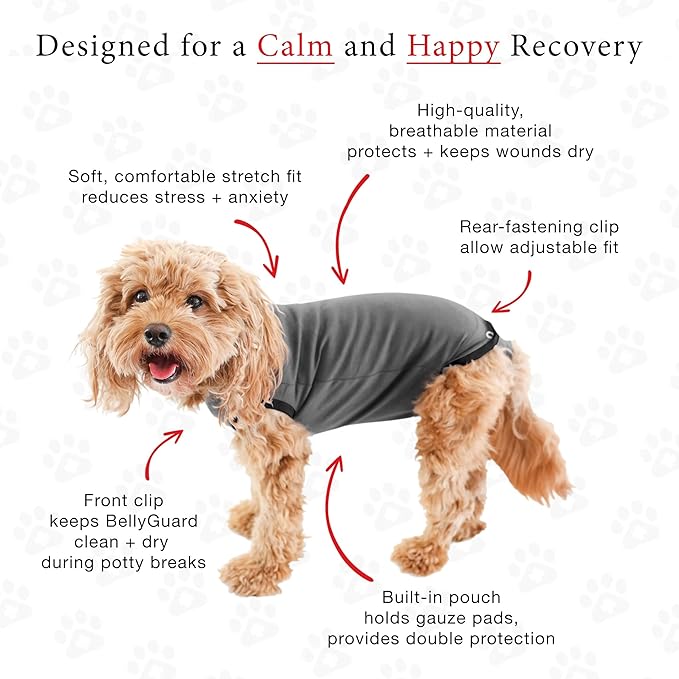 BellyGuard Dog Surgery Recovery Suit, Dog Onesie for Post-Op Care, Recovery Apparel for Female and Male, Surgical Body Cover for Canine Healing Support