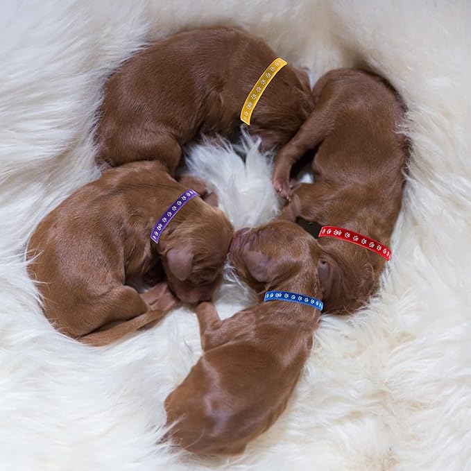 cobee Newborn Puppy Collars, 12 Pcs Whelping Collars for Newborn Puppies Collars for Litter, Adjustable Super Soft Nylon Newborn Dog Identification Bands Puppy ID Collars