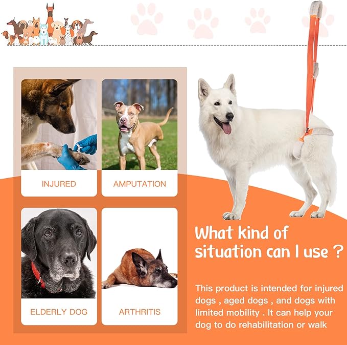 Mixweer 2 Pcs Dog Support Harness for Back Legs Dog Rear Lifting Sling Aid with Handle and Shoulder Strap Hind Leg Support for Pet Mobility Helps Puppy with Poor Stability Joint Injuries(Orange)