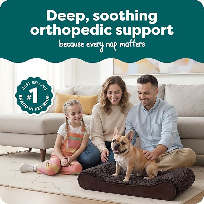 Furhaven Orthopedic Dog Bed for Medium/Small Dogs w/ Removable Washable Cover, For Dogs Up to 23 lbs - Ultra Plush Faux Fur & Suede Luxe Lounger Contour Mattress - Chocolate, Medium