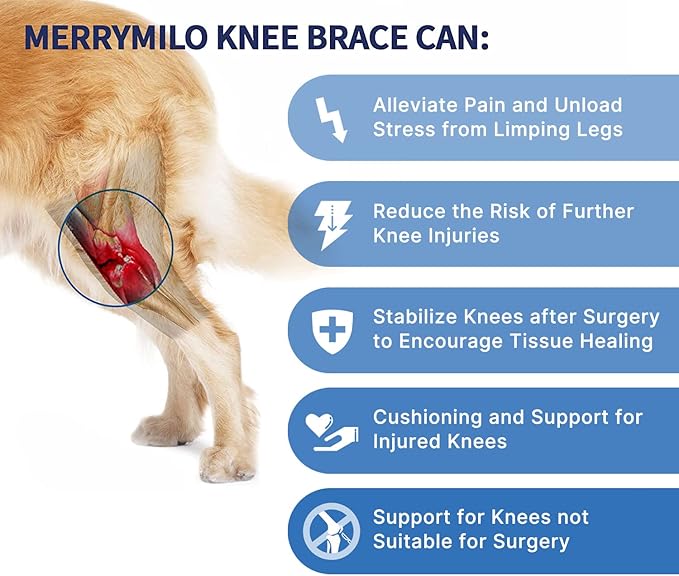 Dog Knee Brace for Hind & Rear Legs – Canine Leg Support for ACL, CCL, and Cruciate Ligament Injuries, Arthritis, and Post-Surgery Recovery – Adjustable, Durable, Black, Size M(7.2'-10.2')
