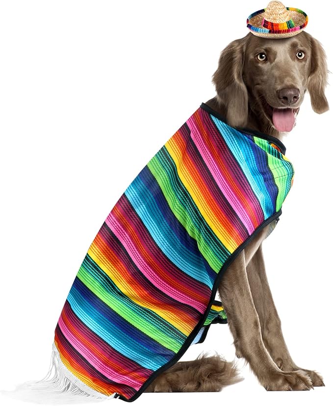 Frienda Dog Large Poncho Straw Hat Costume, Multicolor, Adjustable, for Mexican Party Decorations