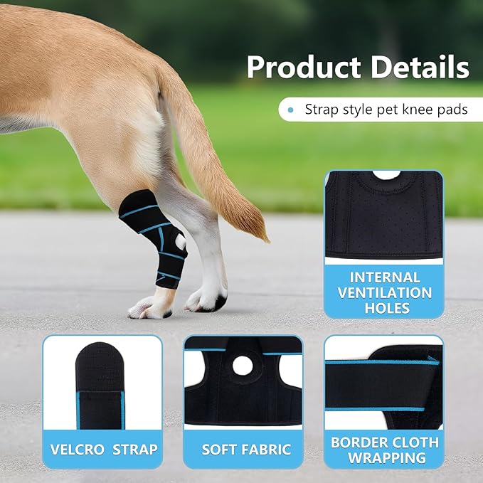 Dog Knee Brace for Back Leg, ACL Support for Large Dogs, Adjustable Dog Leg Brace for Hind Leg Injuries, Canine Joint Wrap for Arthritis Recovery (M)