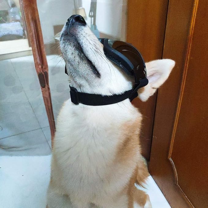 UV Protection Dog Goggles for Medium & Large Dogs - Waterproof Windproof Sunglasses, Durable Protective Eyewear for Long-Snout Breeds - Outdoor Hiking Running Glasses (Silver)
