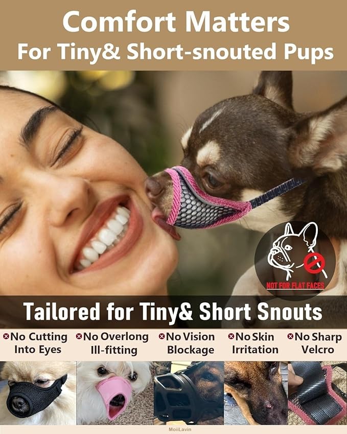 Dog Muzzle for Small Medium Dogs to Prevents Biting for Short Snouted Dogs, Westie Cockapoo Dachshund, Soft Breathable Lightweight Mesh, Open Front, for Grooming Vet Visits (Deep Black, S)