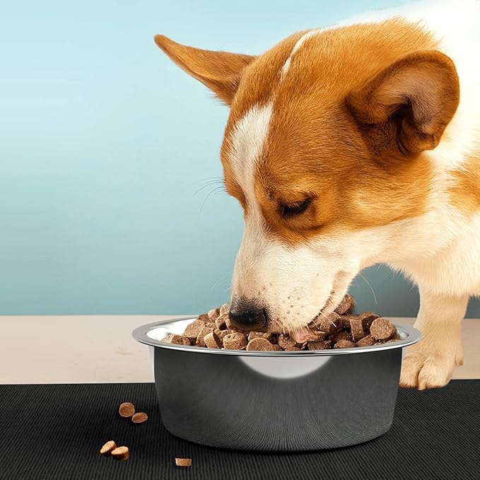 Stainless Steel Dog Bowls with Mat - Nonslip EVA Rubber Bottom, Food & Water Bowl for Dogs, Cats - Dishwasher Safe