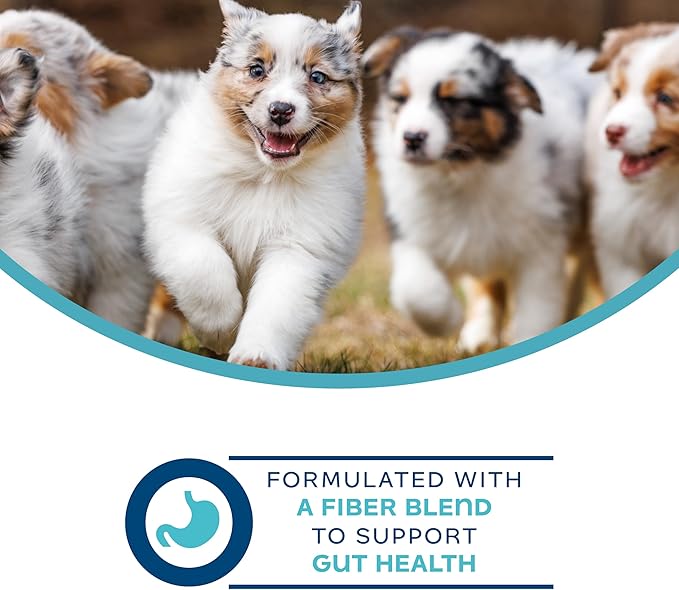 Fromm Family Nutritionals Digestive Functional Dog Treats - Premium Dog Treats to Support Digestive Issues, Upset Stomachs, & Diarrhea - Contains Pumpkin - Pack of (3) 6 oz Bags