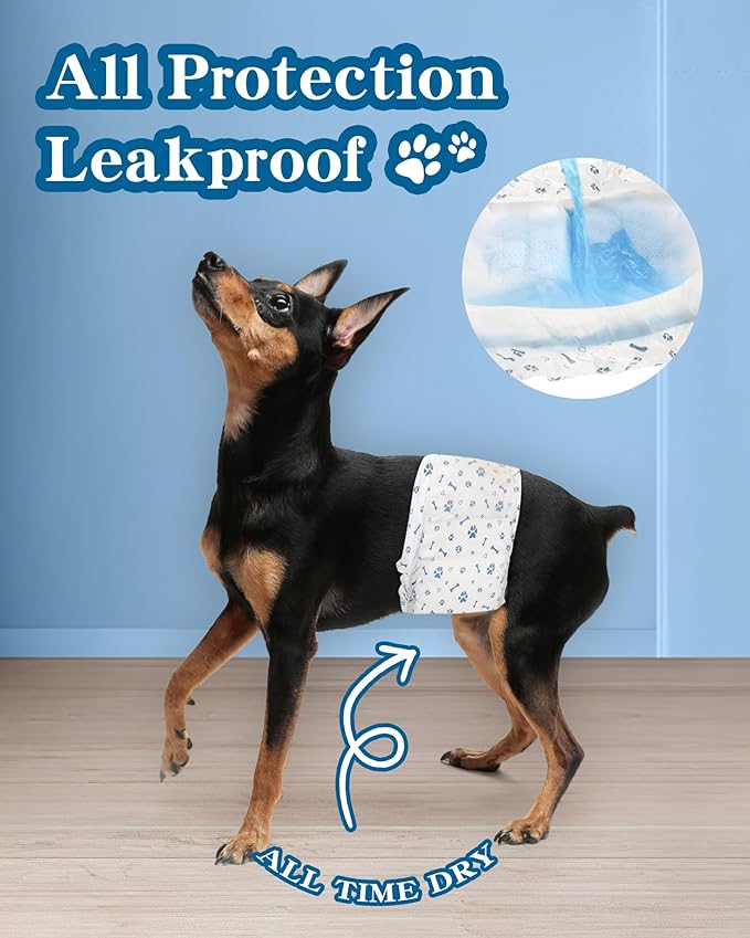 Dog Diapers Male Wraps, Disposable Male Dog Diaper, Super Absorbent Doggie Diapers for Boy Dogs with Incontinence Marking or Excitable Urination(L, 20)