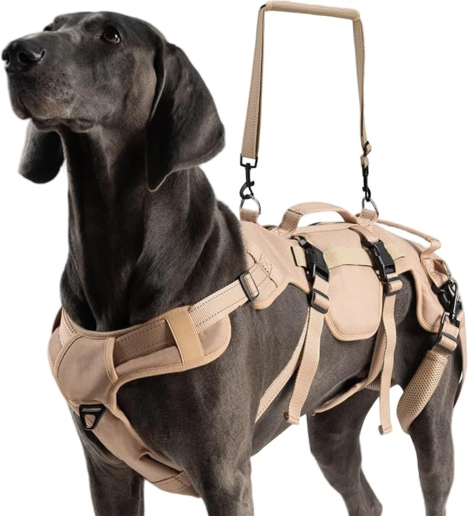 BINGPET Dog Lift Harness for Large Dogs,Full Body Support Rehabilitation Dog Sling Carrier with Handles,Reflective Multifunctional Mobility Assistance Vest for Senior Pets Joint Injuries,Arthritis,L