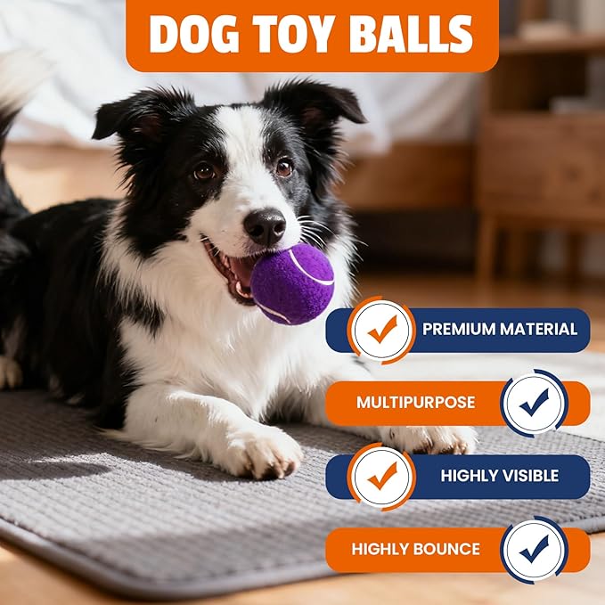 Tennis Balls for Dogs 32 Pack,2.5 inches,Durable and Non-Toxic Dog Toys Balls with Mesh Bag,Colorful Fetch Toys Balls for pet Dog (Non Squeaky)