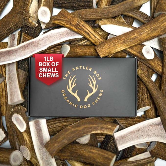 The Antler Box Premium Elk Antler Dog Chews (1 Pound Box) (Small (7-8 Pieces) Whole/Split Mixed)