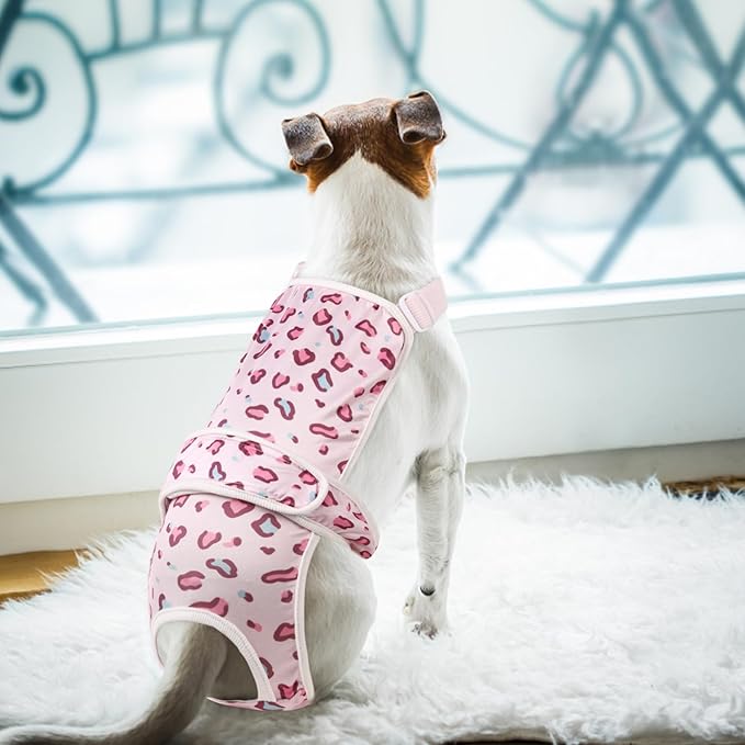 ASENKU 2 Pack Dog Diapers Female Dogs, Dog Suspenders Reusable Doggie Diapers for Female Dogs Small,Washable Dog Period Diapers Dog Panties for Small Girl Dogs in Period Heat