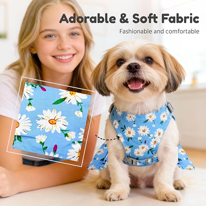 BAEJMJK Dog Dress Bowknot Harness Leash Set for Small Dogs Cats Daisy Floral Girl Dog Dresses Cute Puppy Princess Clothes Pet Doggy Outfits Spring Summer Breathable Dresses(Blue,Large)