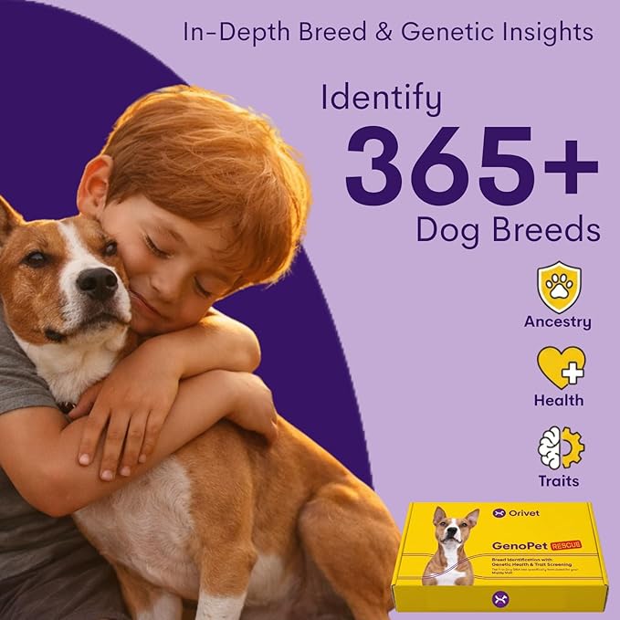 ORIVET Dog DNA Test Kit – Comprehensive Dog DNA Test Kit for 365+ Breed Identification & 265 Health Markers | At Home Dog DNA Kit with Canine Genetic Testing & Life Plan Genopet Rescue