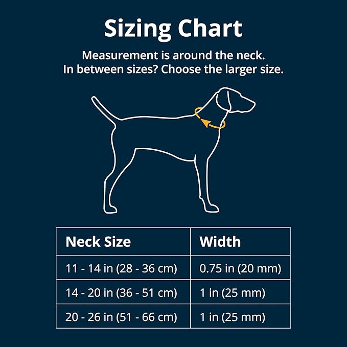 Ruffwear, Chain Reaction Dog Collar, Adjustable Reflective Martingale Escape-Proof Collar with Stainless Steel Chain, Professional Training Control, Blue Pool, 11"-14"