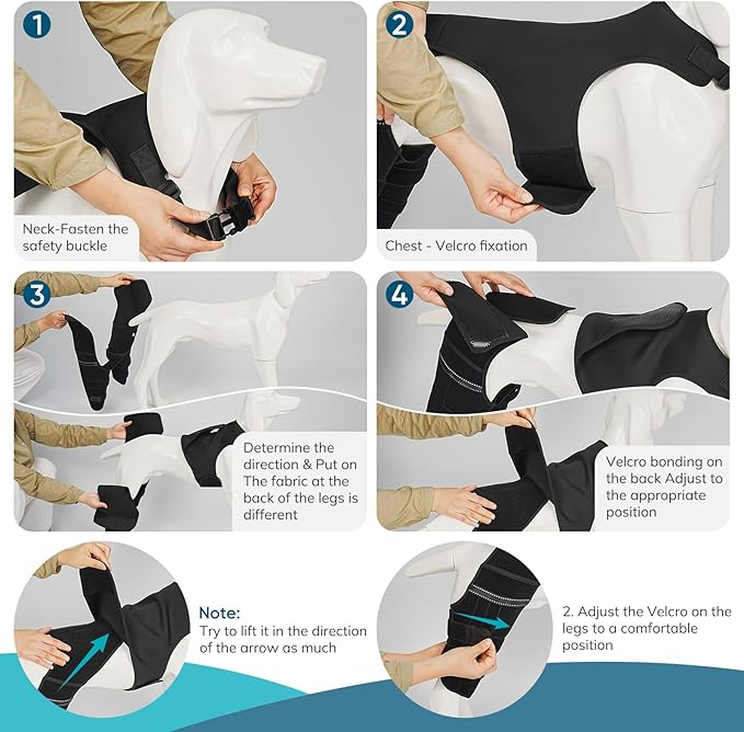 Adjustable Dog Knee Brace for ACL Tear and Arthritis Recovery - Dual Hind Legs Support with Harness Connection - Orthopedic Leg Wrap for Joint Stability and Pain Relief in Small to Large Dogs (S)
