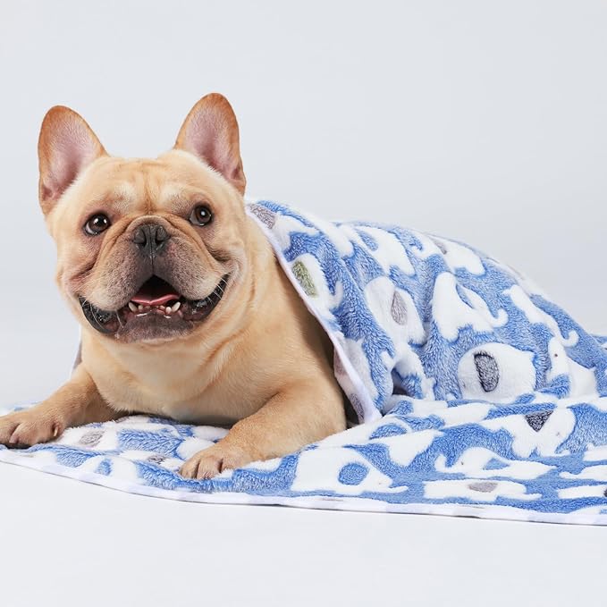 2 Pack 3 Blankets Super Soft Fluffy Premium Cute Elephant Pattern Pet Blanket Flannel Throw for Dog Puppy Cat Blue/Pink/Yellow Small(23x16 inch)
